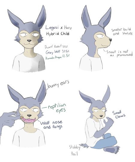 Legosi beastars хару