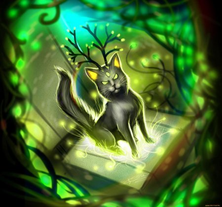 Фэнтези кошки