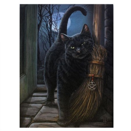 Чëрная кошка