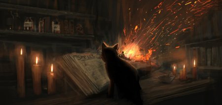 Кот маг