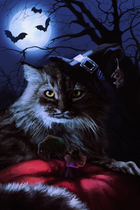 Кот ведьма