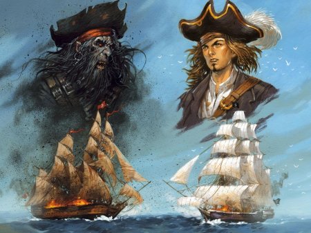 Пират карибского моря
