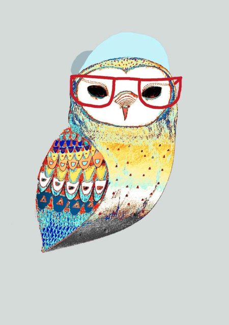 Hipster owl