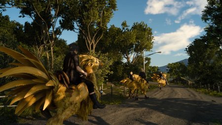 Чокобо ff15