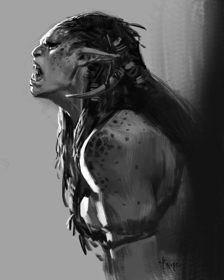 Орк bayard wu