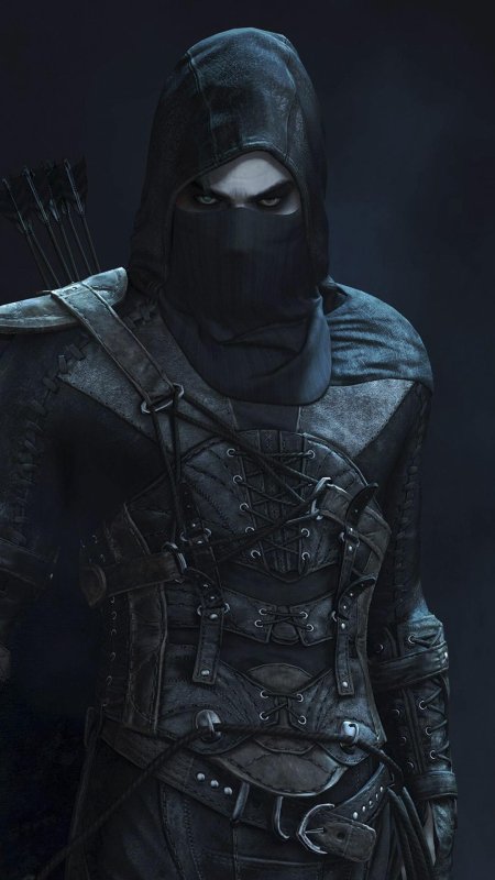 Thief 2014 гаррет