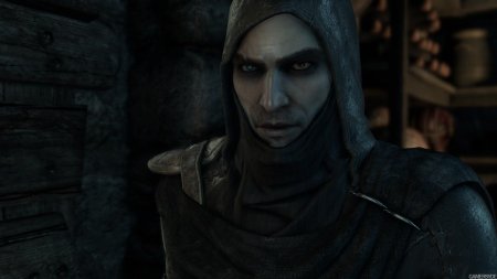 Thief 2014 гаррет