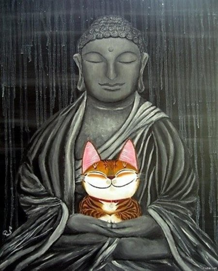 Кот будда
