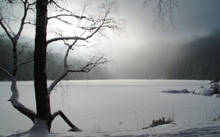 Мрачный зимний пейзаж