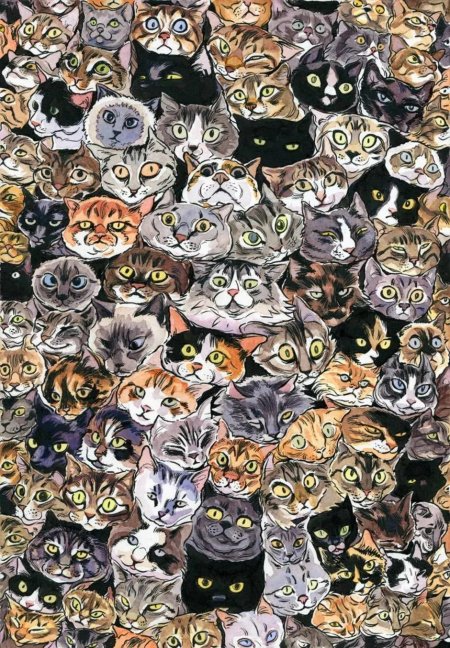 Много кошек
