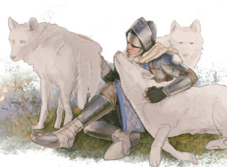 Рыцарь фараама dark souls