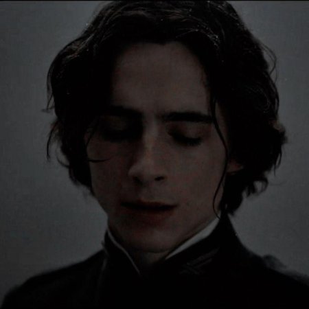 Timothée chalamet
