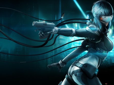 Ghost in the shell stand alone complex игра