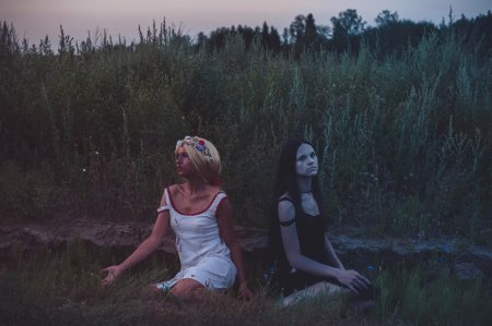 Ведьмак полуденница