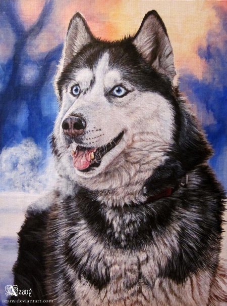 Рисунки хаски