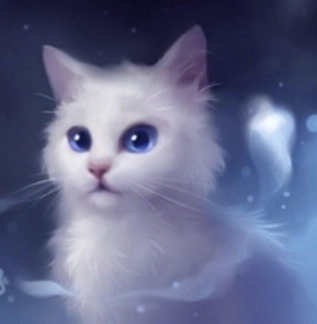Котик арт