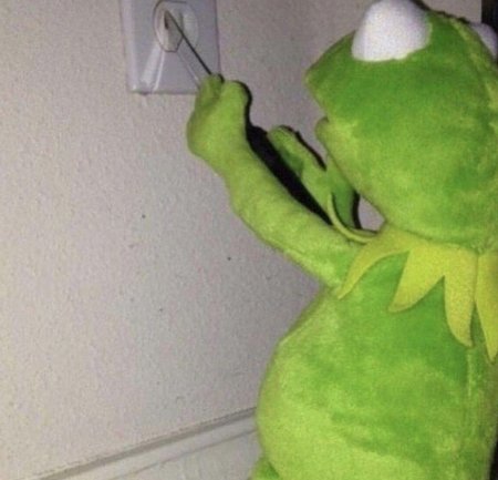 Kermit der frosch