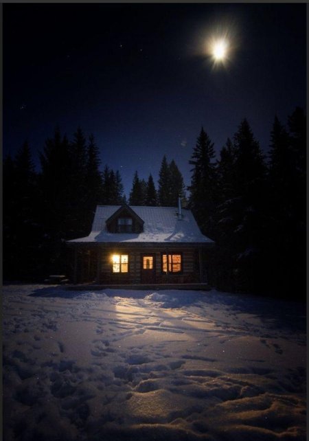 Ночной зимний лес