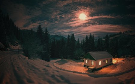 Дом в лесу ночью