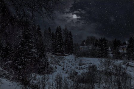 Лес зима ночь