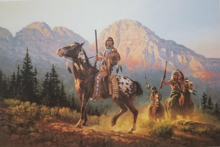 Индейцы прерий северной америки