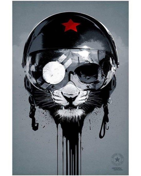 Кот в каске