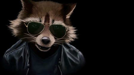 Енот леон