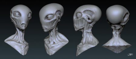 Alien alien