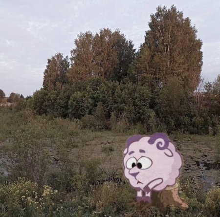 Смешарик бараш