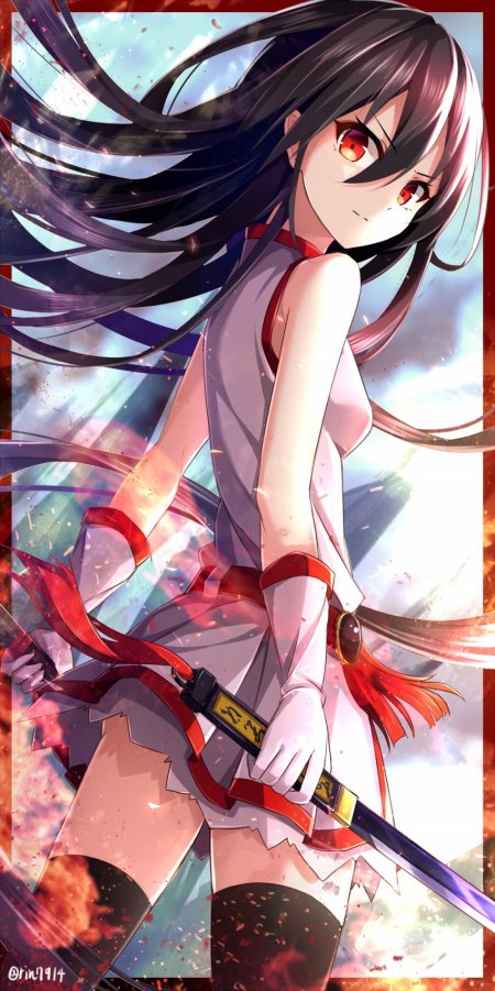 Akame ga kill akame