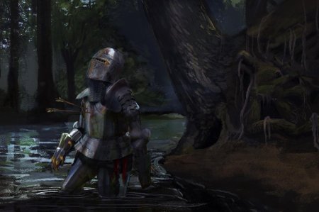 Dark souls 3 падший рыцарь арт