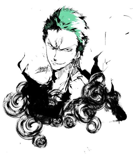 One piece roronoa zoro