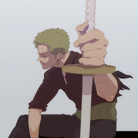 One piece roronoa zoro
