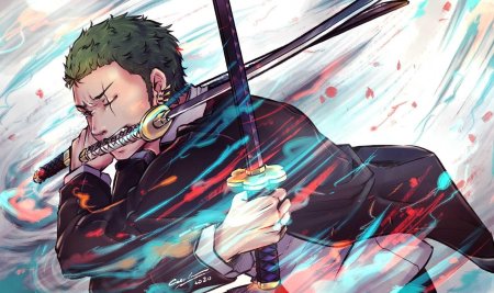 One piece roronoa zoro