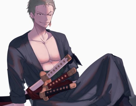 One piece roronoa zoro