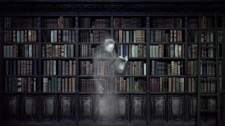 Готическая библиотека «книжная капелла»
