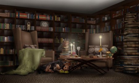Комната с книжными полками