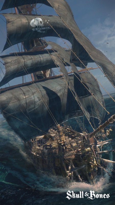 Skull and bones игра