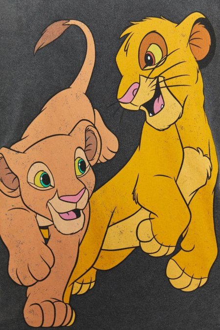 Король лев симба