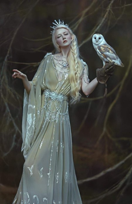 Agnieszka lorek эльфы