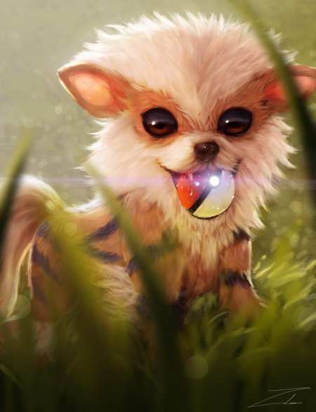Arcanine покемон