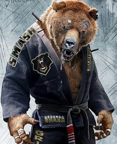 Медведь джиу джитсу