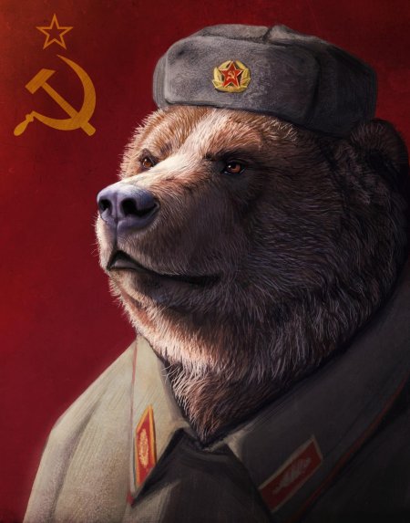 Медведь в шапке ушанке