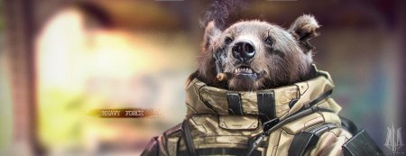 Медведь спецназовец