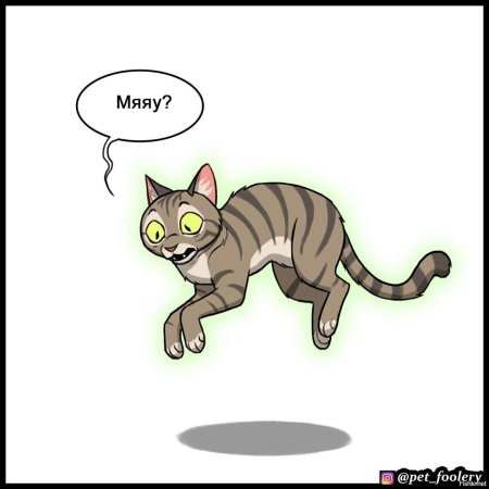 Коты воители вики
