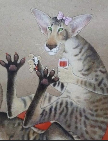 Ориентальная кошка