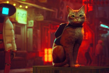 Кот из игры