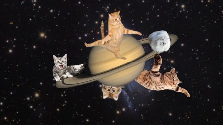 Космический кот