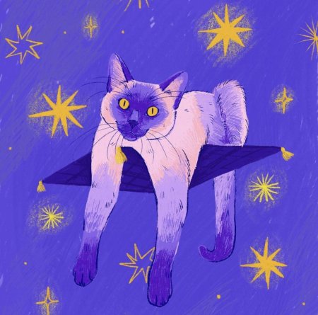 Кошачий арт