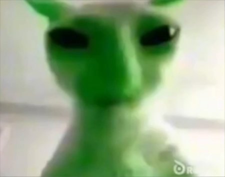Зеленый кот инопланетянин